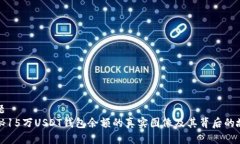 标题  揭秘15万USDT钱包余额的真实图像及其背后的