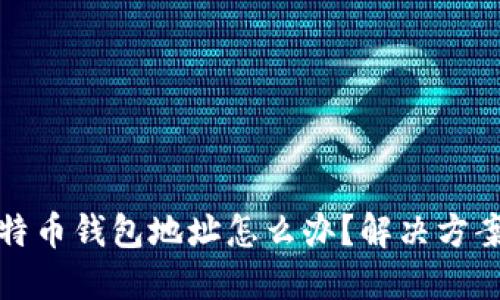 忘记比特币钱包地址怎么办？解决方案与建议
