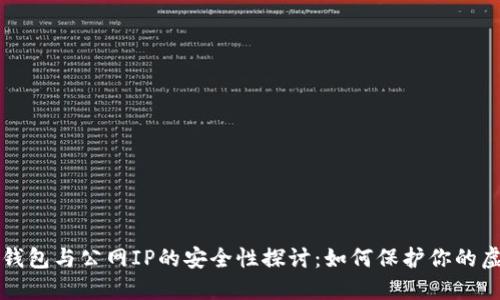 比特币钱包与公网IP的安全性探讨：如何保护你的虚拟资产