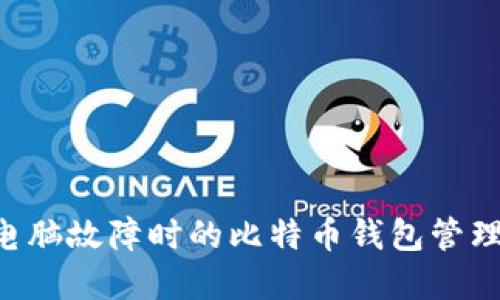 如何应对电脑故障时的比特币钱包管理：实用指南