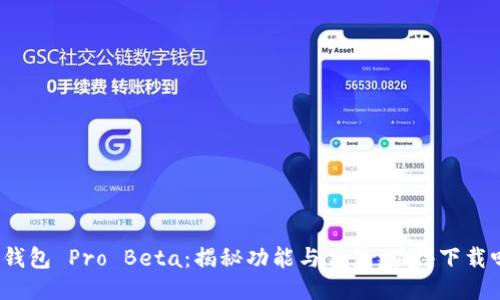 TP钱包 Pro Beta：揭秘功能与优势，值得下载吗？