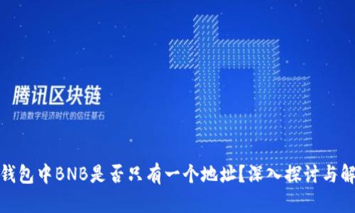 tp钱包中BNB是否只有一个地址？深入探讨与解答