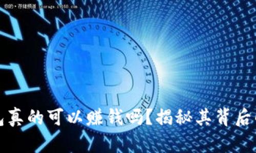 TP钱包真的可以赚钱吗？揭秘其背后的真相