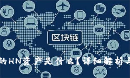 TP钱包里的HN资产是什么？详细解析与使用指南