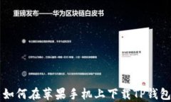     如何在苹果手机上下载