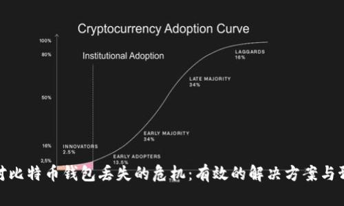 如何应对比特币钱包丢失的危机：有效的解决方案与预防措施
