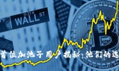 TP钱包的首位加池子用户揭