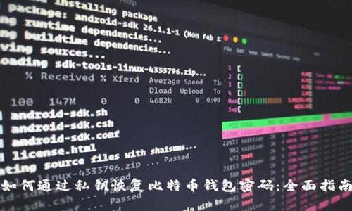 如何通过私钥恢复比特币钱包密码：全面指南