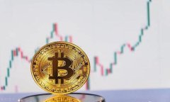 如何在TP钱包中绑定中本聪