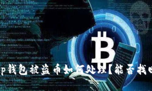  tp钱包被盗币如何处理？能否找回？