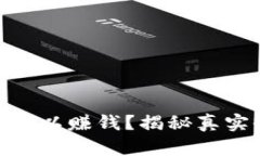 tp钱包真的可以赚钱？揭秘