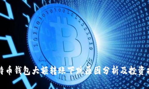 比特币钱包大额转账下跌原因分析及投资指导