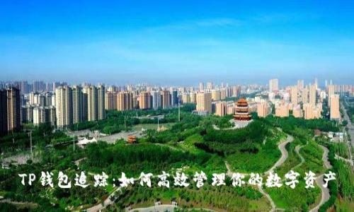 TP钱包追踪：如何高效管理你的数字资产