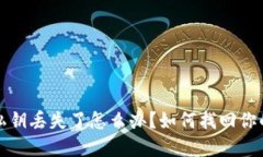 : TP钱包私钥丢失了怎么办