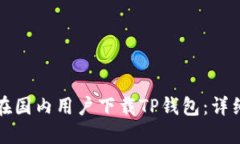 如何在国内用户下载TP钱包