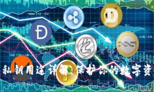 TP钱包私钥用途详解：保护你的数字资产安全