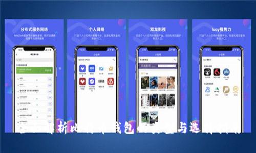 全面解析比特币钱包的类型与选择指南