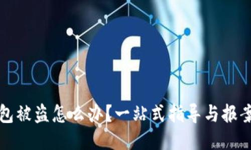 TP钱包被盗怎么办？一站式指导与报案流程