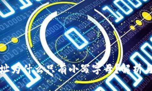 TP钱包地址为什么只有小写字母？解析与注意事项