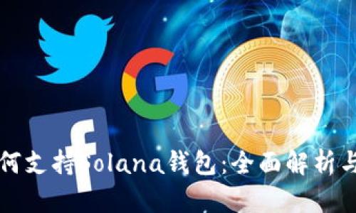 TP钱包如何支持Solana钱包：全面解析与使用指南