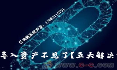 TP钱包助记词导入资产不见了？五大解决方案帮你找回!