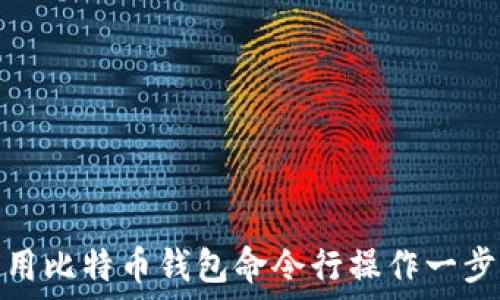   
如何使用比特币钱包命令行操作一步步掌握