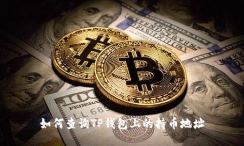 如何查询TP钱包上的持币地址