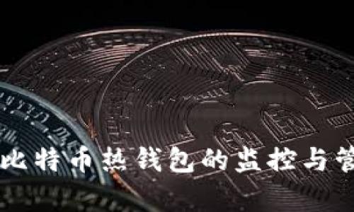 中国对比特币热钱包的监控与管理分析