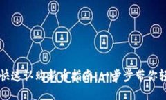 TP钱包快速认购新币指南：