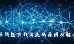 狗狗币钱包里钱消失的原