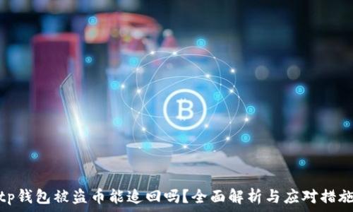   
tp钱包被盗币能追回吗？全面解析与应对措施