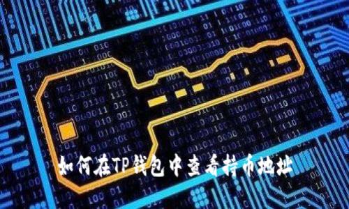 如何在TP钱包中查看持币地址