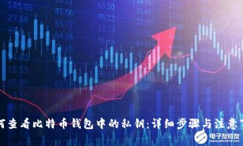 如何查看比特币钱包中的私钥：详细步骤与注意事项