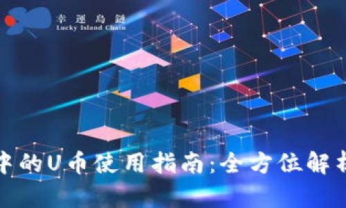 TP钱包中的U币使用指南：全方位解析与技巧