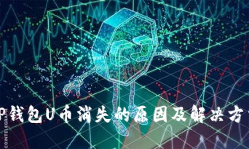TP钱包U币消失的原因及解决方法