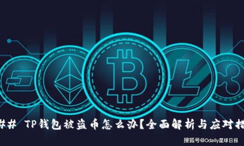 ### TP钱包被盗币怎么办？全面解析与应对措施