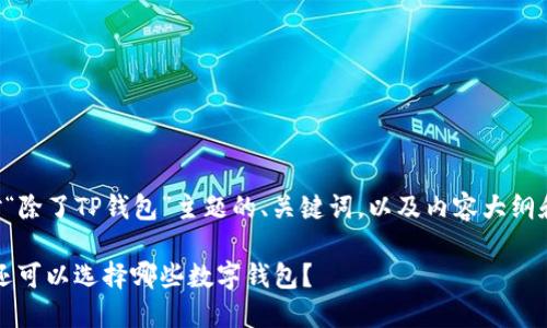 下面是一个针对“除了TP钱包”主题的、关键词，以及内容大纲和详细问题解析。

除了TP钱包，你还可以选择哪些数字钱包？