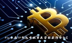 Pig币在TP钱包中放置是否能