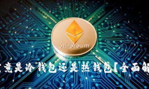 TP钱包：究竟是冷钱包还是热钱包？全面解析与比较