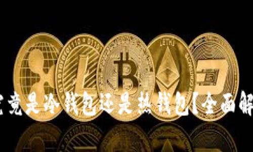 TP钱包：究竟是冷钱包还是热钱包？全面解析与比较