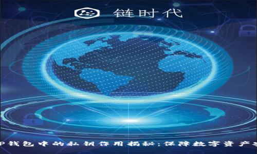 : TP钱包中的私钥作用揭秘：保障数字资产安全