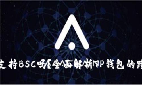 TP钱包支持BSC吗？全面解析TP钱包的跨链功能