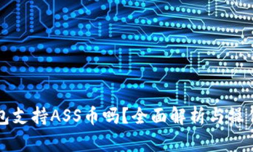 TP钱包支持ASS币吗？全面解析与操作指南