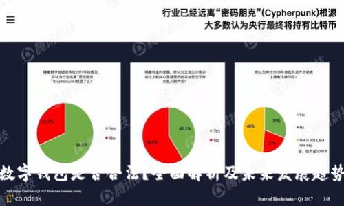 数字钱包是否合法？全面解析及未来发展趋势