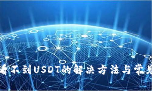 : TP钱包看不到USDT的解决方法与常见问题解析