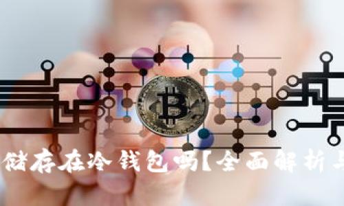 USDT可以储存在冷钱包吗？全面解析与操作指南
