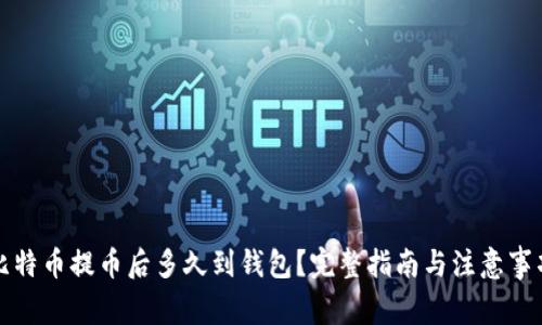 比特币提币后多久到钱包？完整指南与注意事项