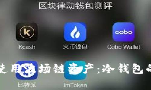 如何在TP钱包中使用波场链资产：冷钱包的解读与安全建议