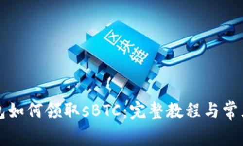 比特币钱包如何领取sBTC：完整教程与常见问题解析