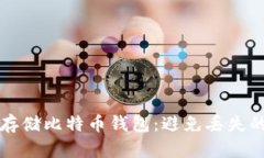 如何安全存储比特币钱包